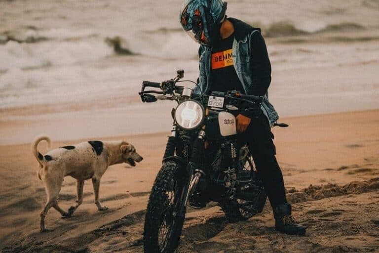 What To Do If A Dog Chases Your Motorcycle (Simple Guide)